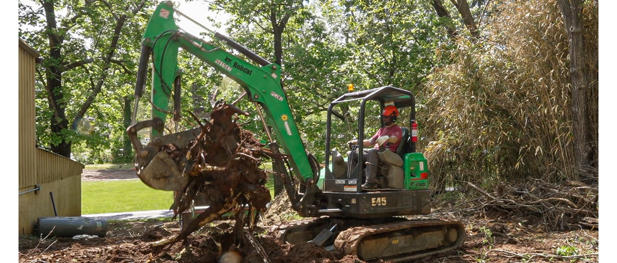 Forklift clearing a storm-ravaged wooded area.