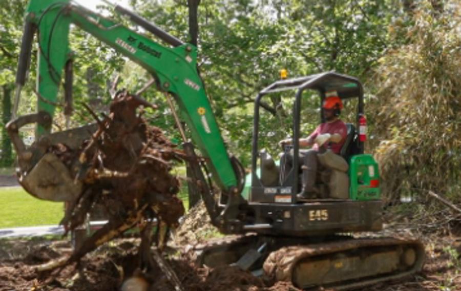 Forklift clearing a storm-ravaged wooded area.