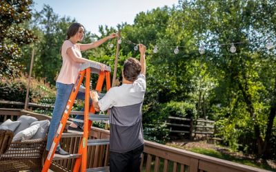 Scaffolding and Ladder 