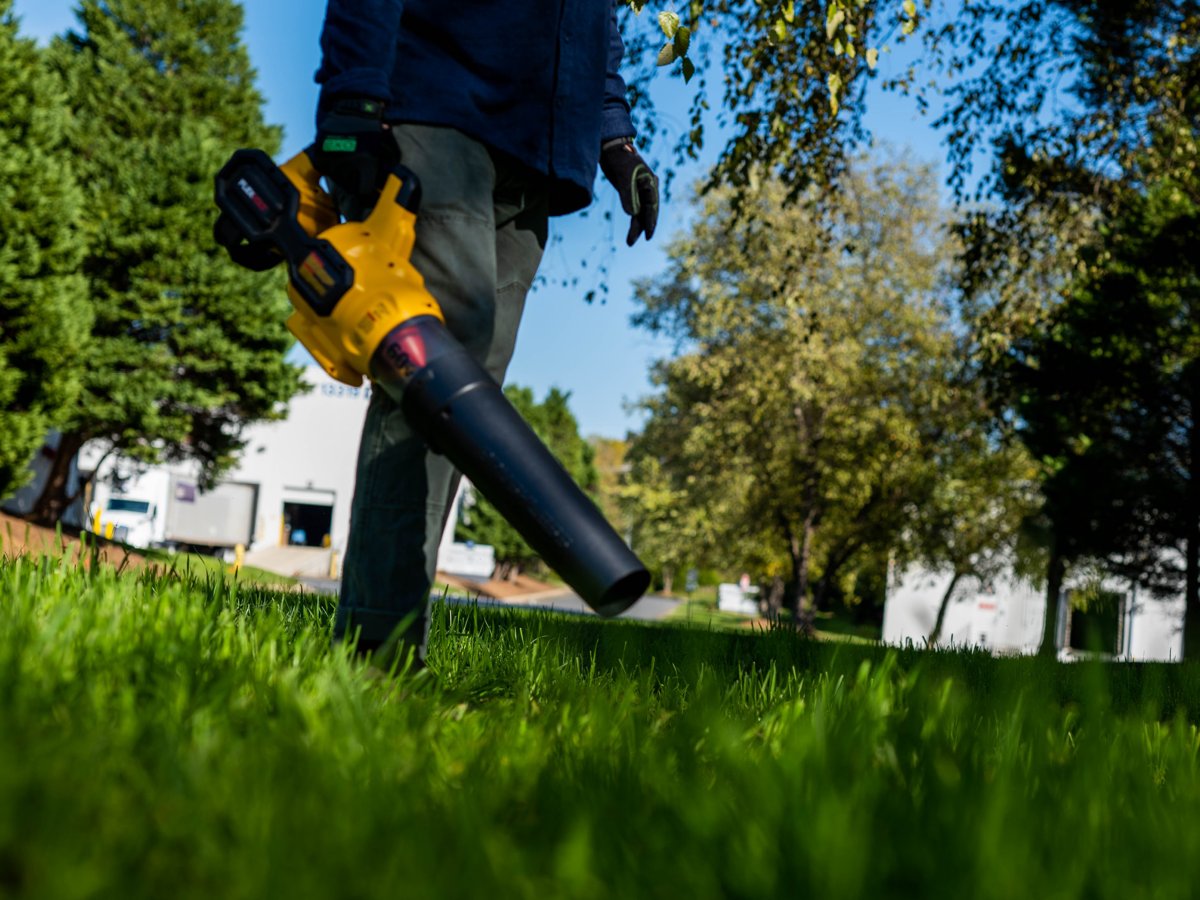 A handheld blower used on grass.