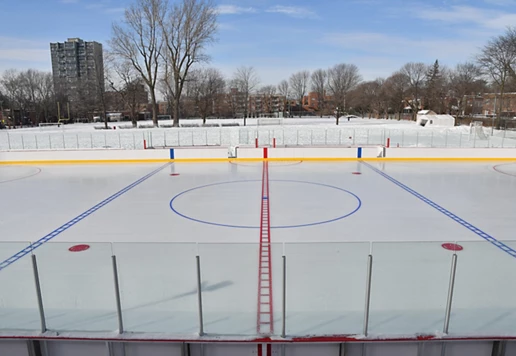 An ice rink.