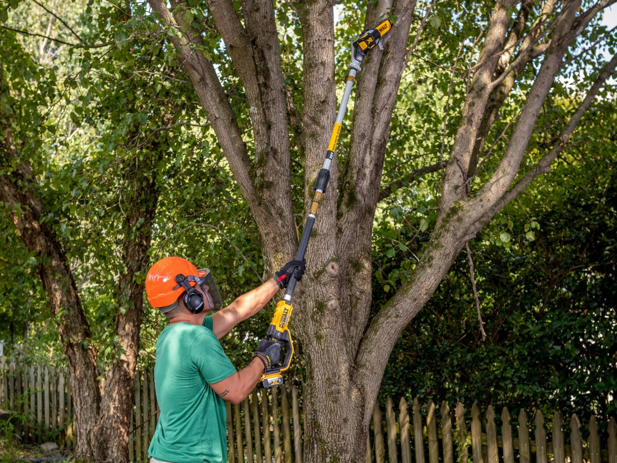 Someone wearing safety gear using a pole saw to trim branches from a tree. 