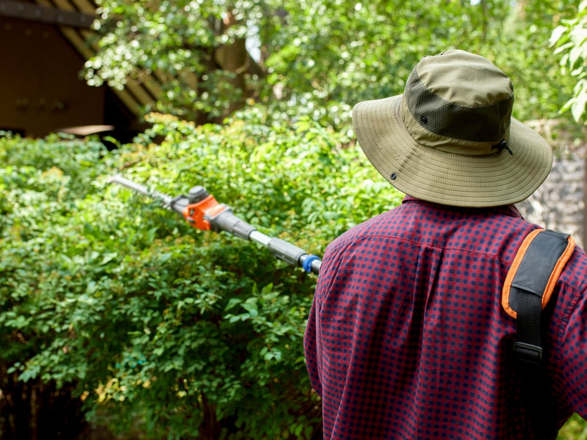 Someone wearing a hat trimming hedges using a battery pole hedge trimmer. 