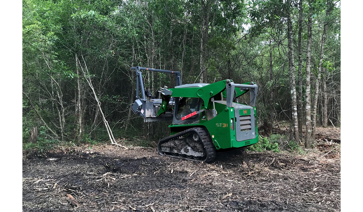 A skid steer clearing land in a wooded area.