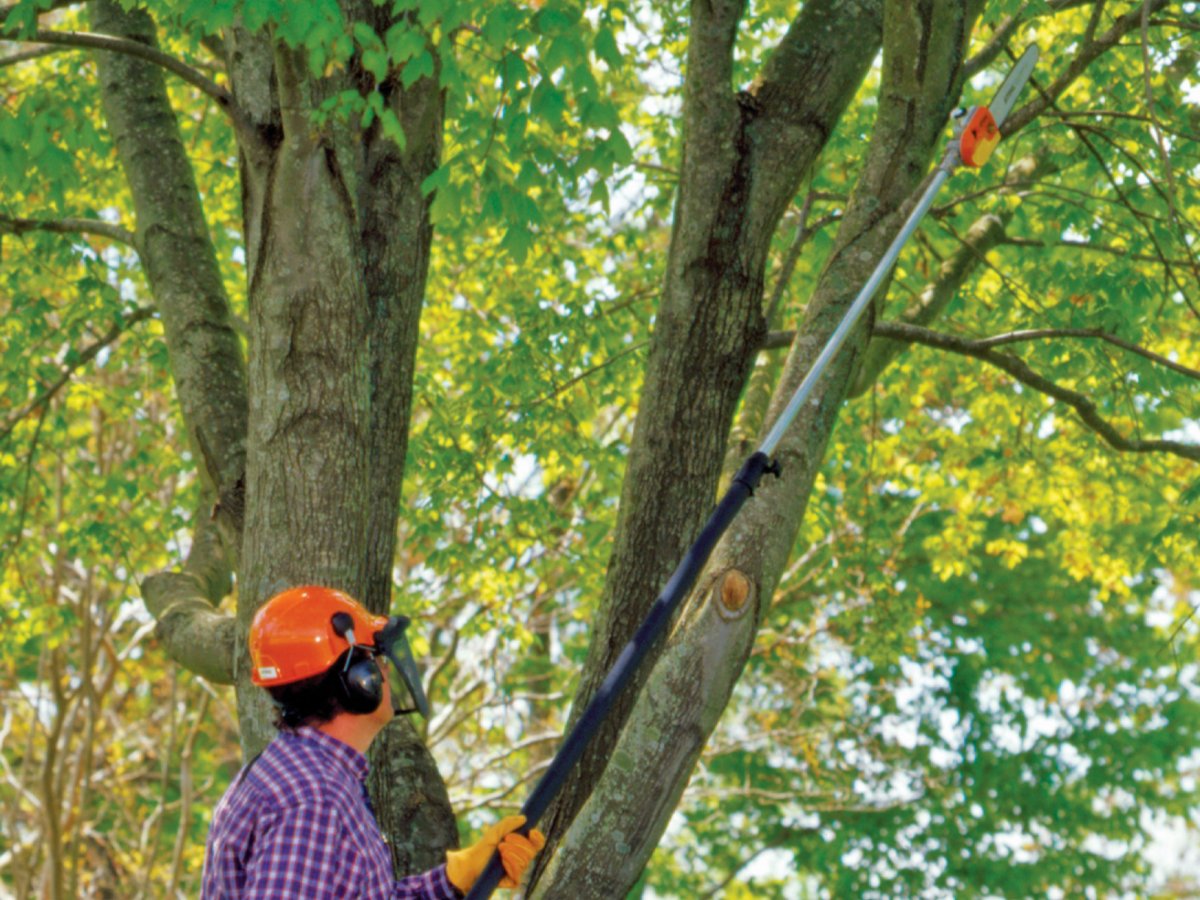 Someone wearing protective gear using a pole saw to trim branches from a tall tree.