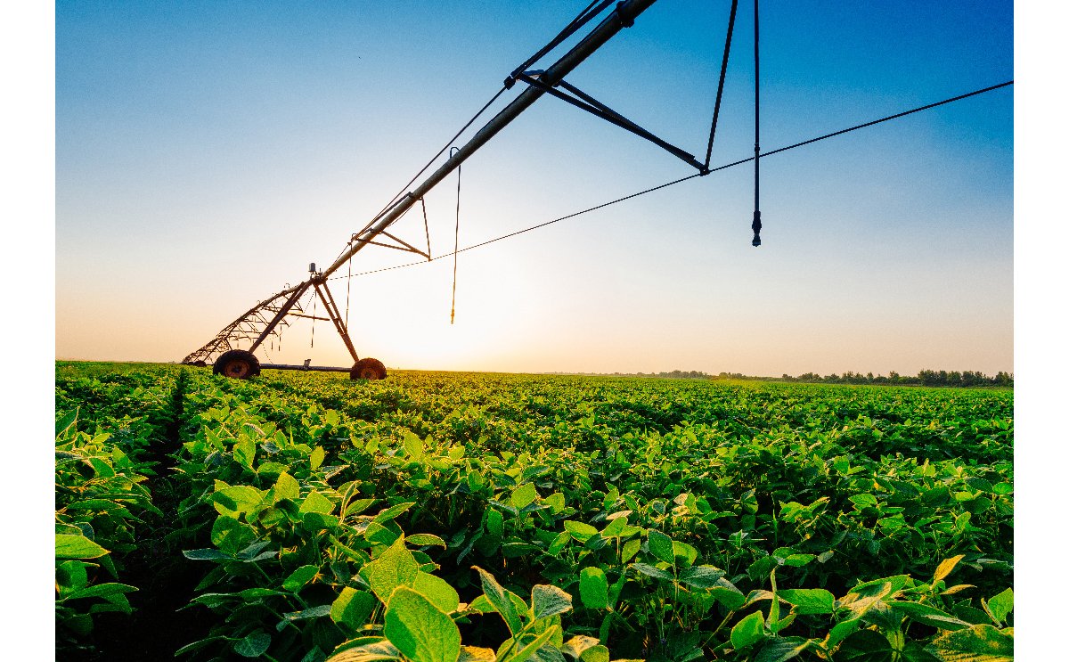 Agriculture & Farm Equipment Rentals Sunbelt Rentals